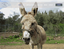 Tablet Screenshot of corfu-donkeys.com